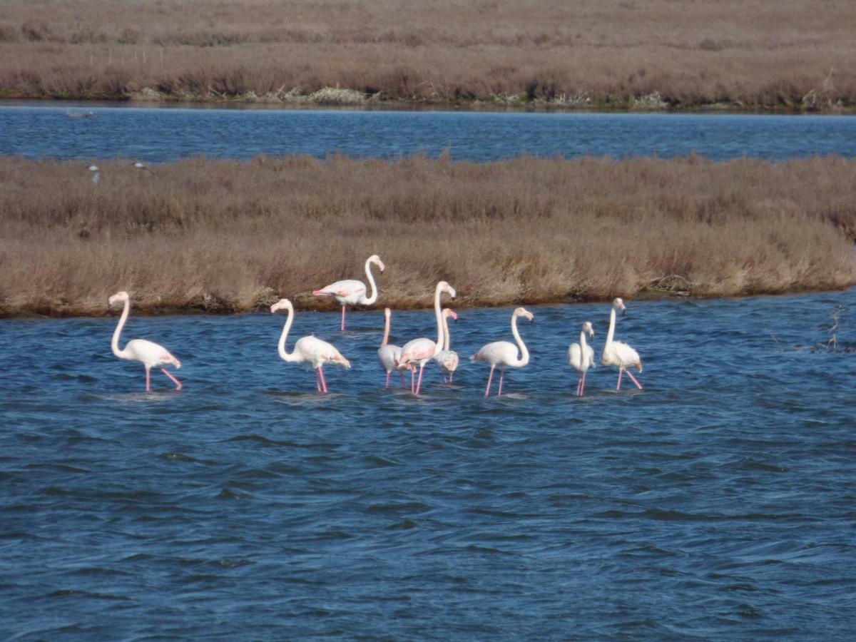 Nestos, Meer Und Berge - Griechenland Mal Anders Zarkadhia Екстер'єр фото